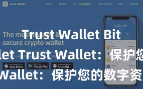   Trust Wallet Bitcoin wallet Trust Wallet：保护您的数字资产